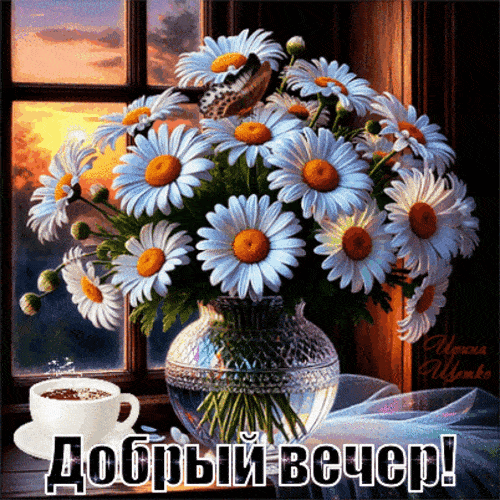 Открытка «Пожелание»: Добрый вечер! Нежная ромашка, уют и пожелание. Тэги: красивая, кофе, цветок, окно, чашка…