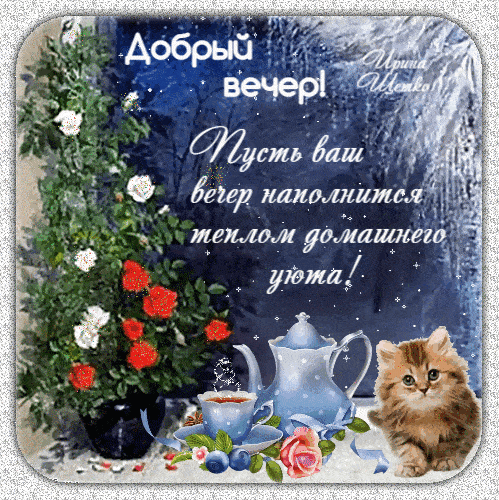 Открытка «Кот»: Добрый вечер: уютный котик и теплое пожелание. Тэги: пожелание, красивая, позитив, радость, цветок…