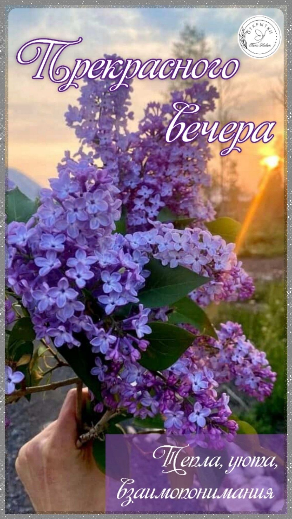 Открытка «Пожелание»: «Прекрасного вечера» – нежная открытка с цветами. Тэги: позитив, радость, цветок, уют, тепло…