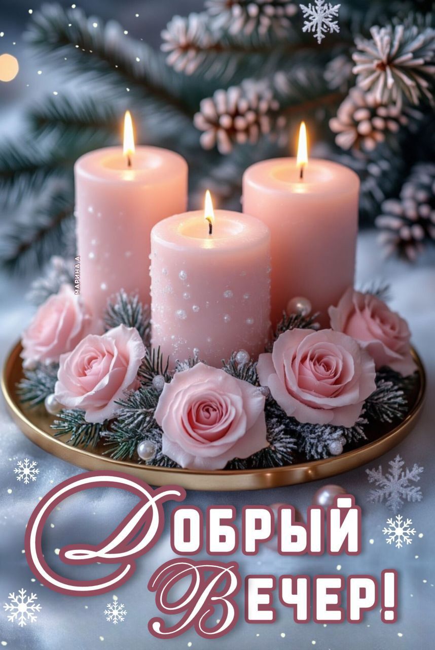 Открытка «Пожелание»: Добрый вечер! Нежные розы, свечи и зимний уют. Тэги: красивая, цветок, настроение, нежная, зима…