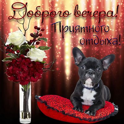 Открытка «Улыбка»: Доброго вечера! Приятного отдыха с милым песиком. Тэги: красивая, позитив, радость, цветок, настро…