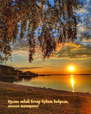 Открытка «Пожелание»: Добрый вечер, милая женщина! Красивый закат. Тэги: женщина, красивая, позитив, радость, осень…