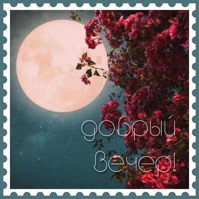 Открытка «Пожелание»: Красивая открытка «Добрый вечер!» с цветами и луной. Тэги: позитив, радость, цветок, настроение…