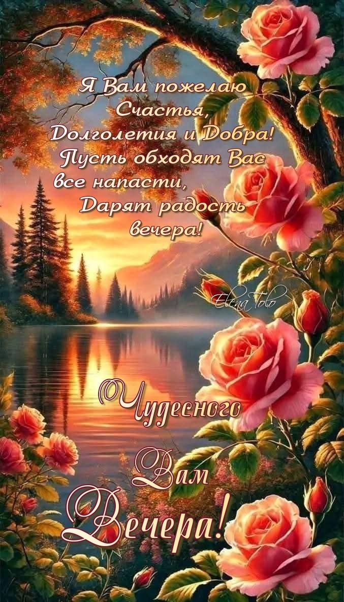 Открытка «Пожелание»: Чудесного Вечера! Пожелание счастья и роз. Тэги: красивая, радость, цветок, счастье, нежная…