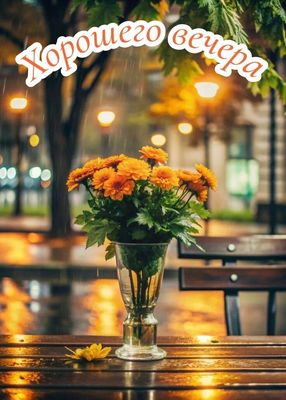 Открытка «Пожелание»: Уютного вечера: цветы, дождь и теплое настроение. Тэги: подруга, женщина, красивая, цветок…