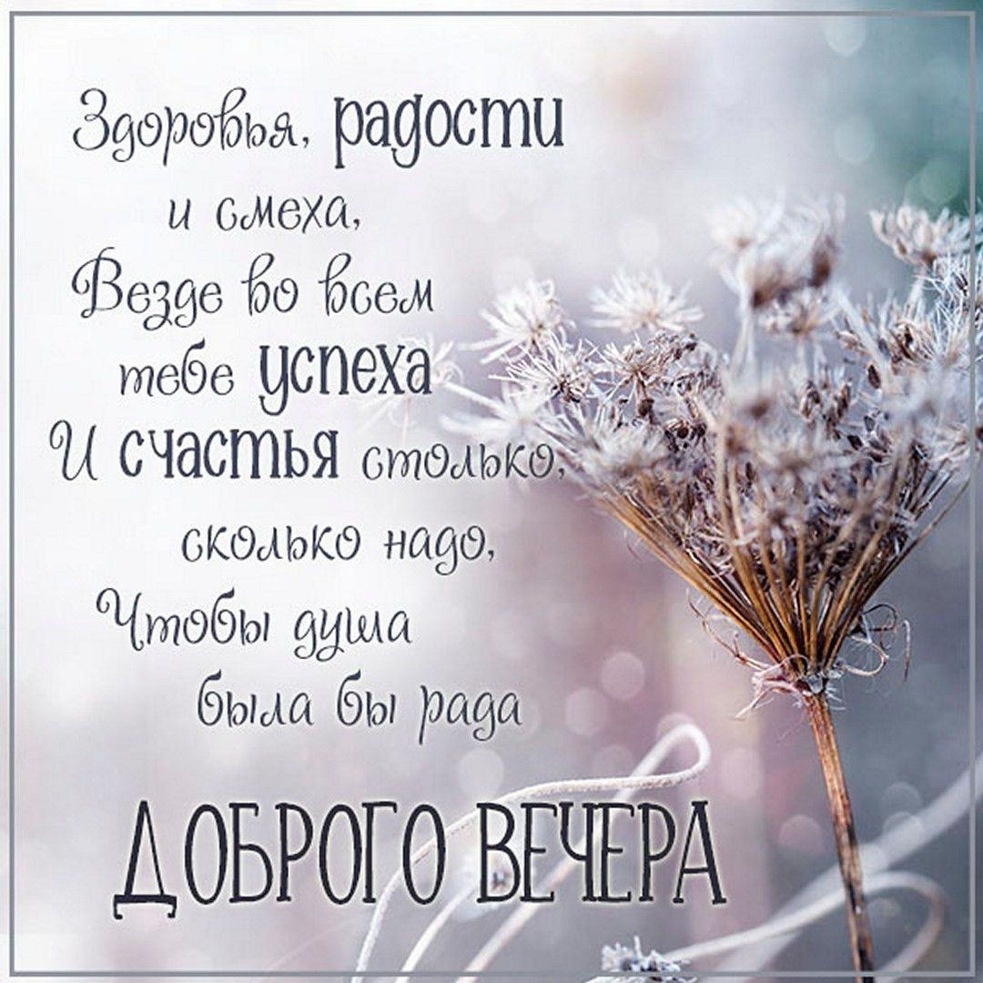 Открытка «Пожелание»: Красивая открытка: Добрый вечер, счастья, успеха!. Тэги: радость, надпись, здоровье, успех, стих…