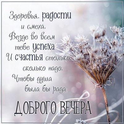 Открытка «Пожелание»: Красивая открытка: Добрый вечер, счастья, успеха!. Тэги: радость, надпись, здоровье, успех, стих…