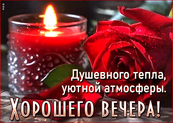 Открытка «Пожелание»: Хорошего вечера: душевное тепло и уютная атмосфера. Тэги: красивая, цветок, настроение, нежная…