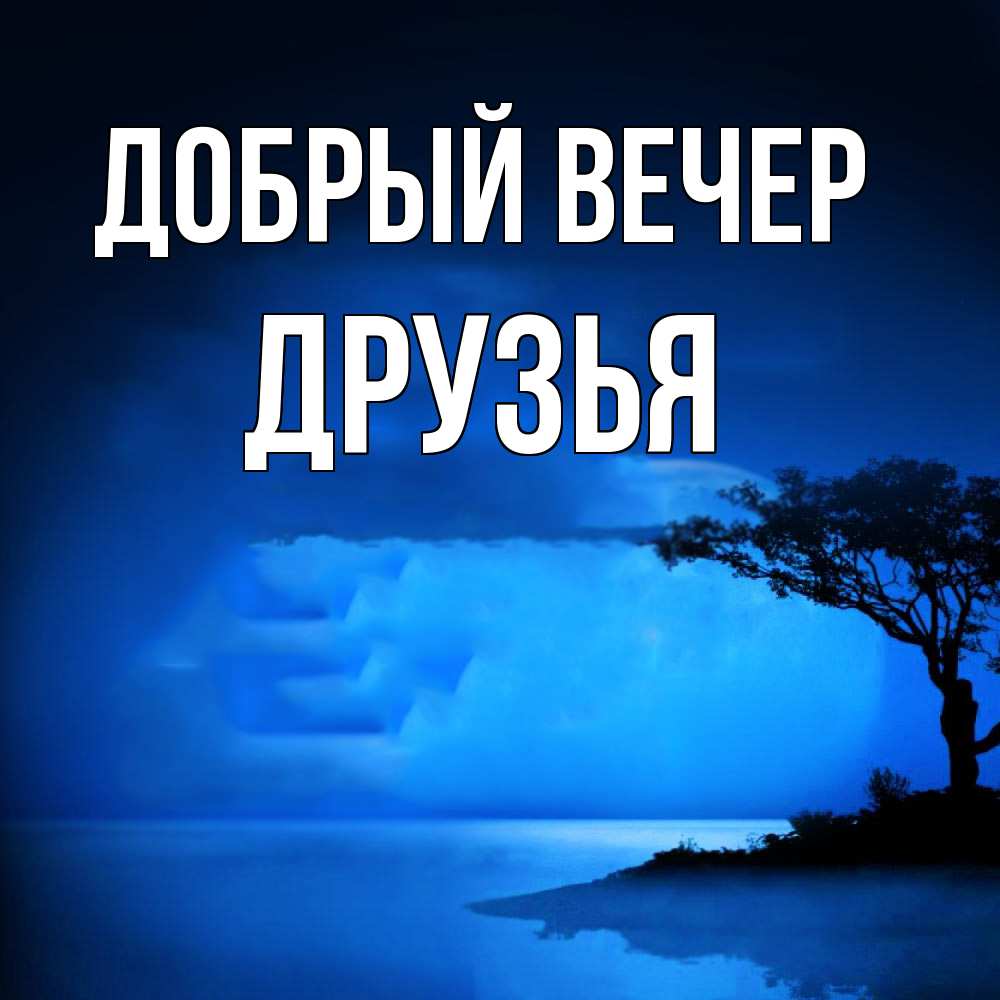 Открытка «Пожелание»: Добрый вечер, друзья! Пожелание на вечер. Тэги: красивая, позитив, настроение, нежная, дерево…