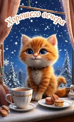 Открытка «Кот»: Хорошего вечера! Милый кот у окна, снежная зима. Тэги: животное, пожелание, красивая, чай, чашка…
