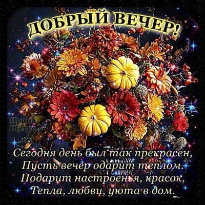 Открытка «Пожелание»: Добрый вечер! Осенний букет для настроения и уюта. Тэги: красивая, позитив, радость, цветок…