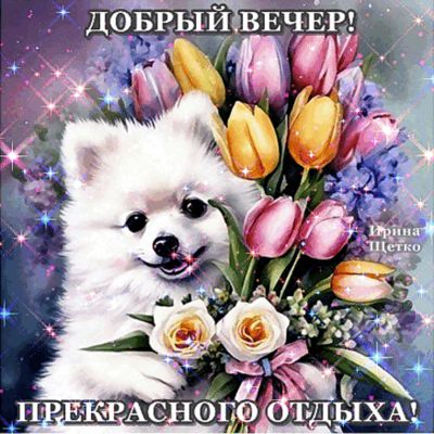 Открытка «Животное»: Добрый вечер! Прекрасного отдыха с милым щенком и цветами. Тэги: пожелание, улыбка, красивая…