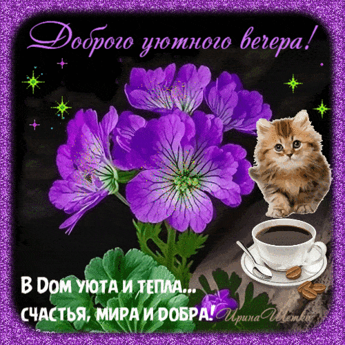 Открытка «Кот»: Доброго уютного вечера: кот, кофе и цветы. Тэги: пожелание, красивая, кофе, позитив, цветок, уют…