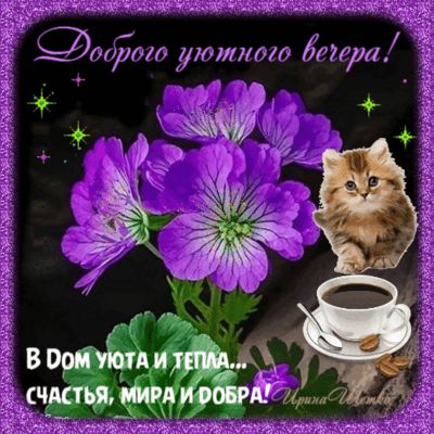 Открытка «Кот»: Доброго уютного вечера: кот, кофе и цветы. Тэги: пожелание, красивая, кофе, позитив, цветок, уют…