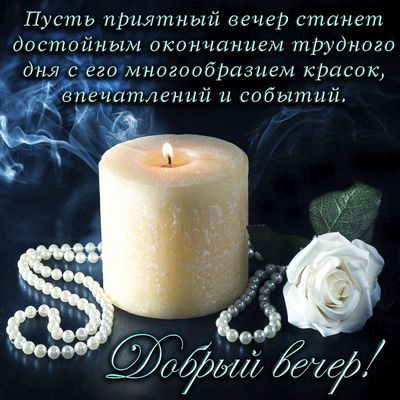 Открытка «Пожелание»: Добрый вечер: уютное пожелание. Тэги: красивая, цветок, настроение, нежная, милая, роза, благоп…