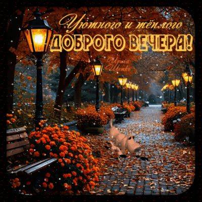 Открытка «Животное»: Уютного доброго вечера! Красивый осенний парк. Тэги: пожелание, красивая, позитив, радость, уют…