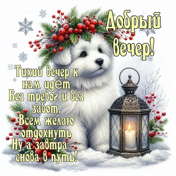 Открытка «Животное»: Добрый вечер с милым щенком: уютное зимнее пожелание. Тэги: пожелание, красивая, позитив, радость…