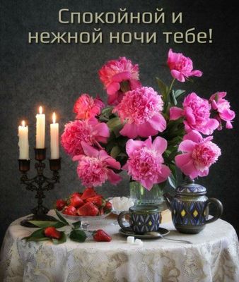 Открытка «Пожелание»: Спокойной ночи! Нежное пожелание с пионами. Тэги: красивая, позитив, радость, цветок, настроение…