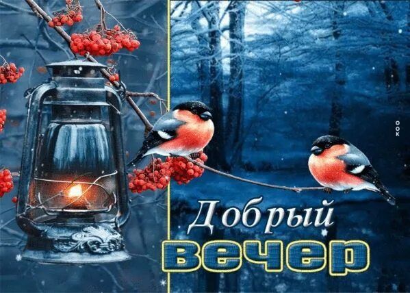 Открытка «Животное»: Сказочный зимний вечер: снегири и фонарь. Тэги: пожелание, красивая, позитив, фонарь, настроение…