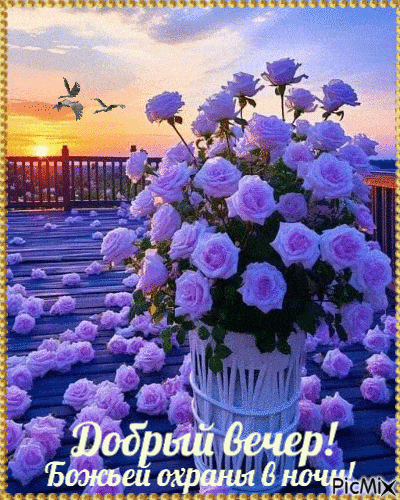 Открытка «Пожелание»: Добрый вечер! Нежные розы и Божье благословение. Тэги: красивая, радость, цветок, настроение…