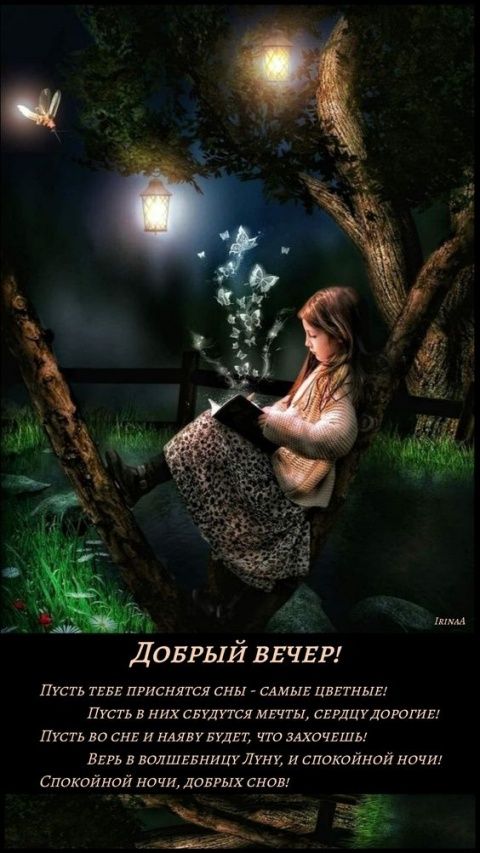 Открытка «Пожелание»: Нежный добрый вечер, волшебных снов. Тэги: фонарь, настроение, нежная, дерево, книга, природа…