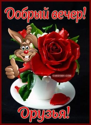 Открытка «Животное»: Добрый вечер, друзья! С кроликом и розой. Тэги: пожелание, прикольная, улыбка, друг, красивая…