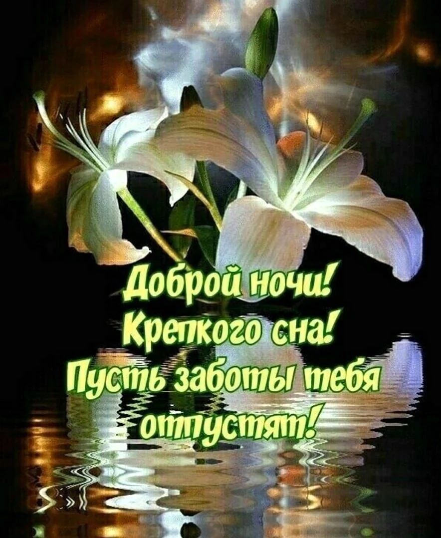 Открытка «Доброй ночи»: «Доброй ночи» с лилиями: крепкого сна и мира душе!. Тэги: Спокойной ночи, Спокойной ночи…