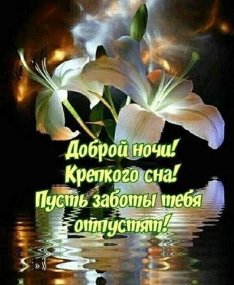 Открытка «Доброй ночи»: «Доброй ночи» с лилиями: крепкого сна и мира душе!. Тэги: Спокойной ночи, Спокойной ночи…
