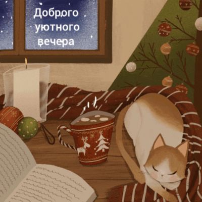 Открытка «Кот»: Доброго уютного вечера: милый кот и зимнее тепло. Тэги: животное, пожелание, красивая, окно, чашка…