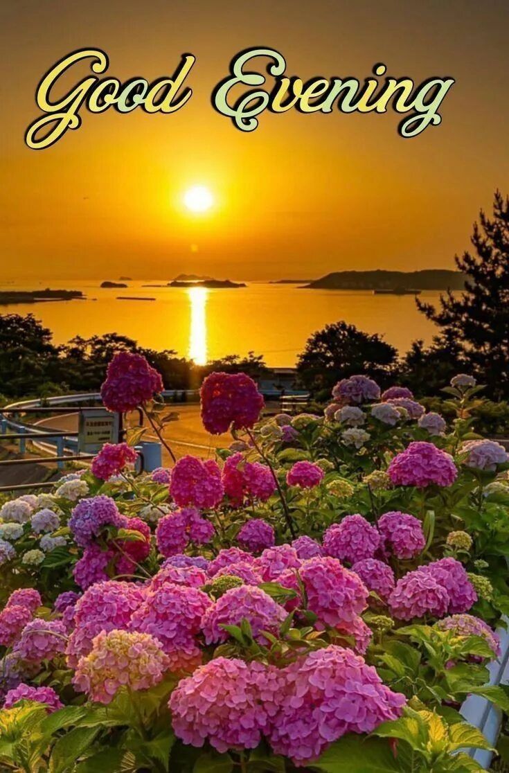 Открытка «Пожелание»: Красивая открытка «Добрый вечер» с закатом и цветами. Тэги: улыбка, красивая, позитив, радость…