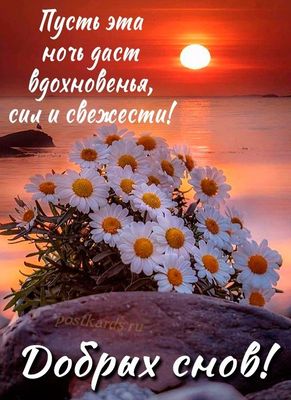 Открытка «Пожелание»: Добрых снов и вдохновения с ромашками на закате. Тэги: красивая, позитив, радость, цветок…