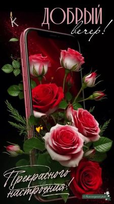 Открытка «Пожелание»: Добрый вечер! Нежные розы для прекрасного настроения. Тэги: красивая, позитив, цветок, настроен…
