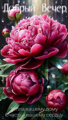 Открытка «Пожелание»: Добрый Вечер: Красивый Цветок, Тепло и Счастье. Тэги: красивая, позитив, радость, цветок…