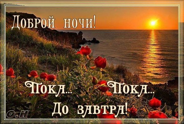 Открытка «Пожелание»: Доброй ночи! Красивое пожелание до завтра. Тэги: красивая, цветок, нежная, природа, солнце…