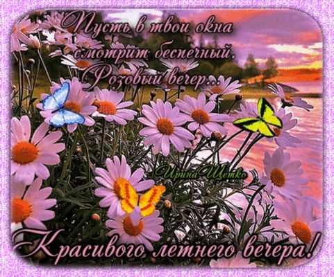 Открытка «Пожелание»: Нежная открытка: Красивого летнего вечера и бабочки. Тэги: улыбка, красивая, позитив, радость…