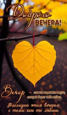 Открытка «Пожелание»: Доброго вечера: осеннее сердце для любви и отдыха. Тэги: красивая, сердце, осень, нежная…