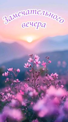 Открытка «Пожелание»: Красивая открытка «Замечательного вечера». Тэги: друг, подруга, мужчина, женщина, красивая…