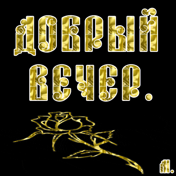 Открытка «Пожелание»: «Добрый вечер» – красивая открытка с золотой розой. Тэги: красивая, позитив, радость, цветок…