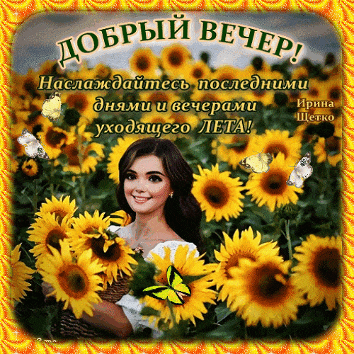Открытка «Пожелание»: Добрый вечер! Теплое летнее пожелание с подсолнухами. Тэги: улыбка, женщина, красивая, позитив…