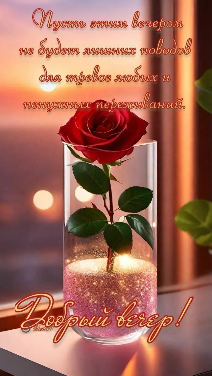 Открытка «Пожелание»: Красивый вечер: роза и доброе пожелание. Тэги: красивая, позитив, радость, цветок, окно, настро…
