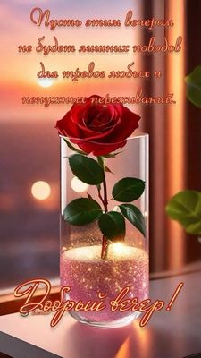 Открытка «Пожелание»: Красивый вечер: роза и доброе пожелание. Тэги: красивая, позитив, радость, цветок, окно, настро…