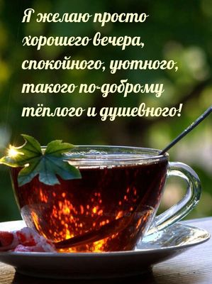 Открытка «Пожелание»: Добрый вечер: тепло, уют и душевность. Тэги: красивая, позитив, радость, чай, чашка, настроение…