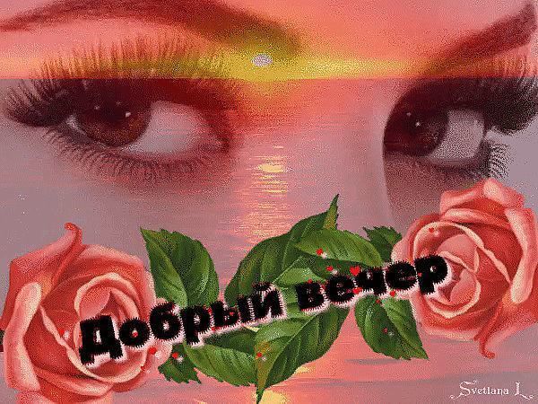 Открытка «Пожелание»: Добрый вечер: нежность, розы и закат. Тэги: женщина, красивая, позитив, цветок, настроение…