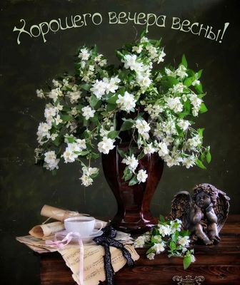 Открытка «Пожелание»: Хорошего весеннего вечера! Открытка с нежным жасмином. Тэги: красивая, цветок, чай, стол…