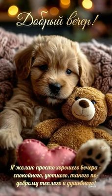 Открытка «Животное»: «Добрый вечер!» – позитив и уют от милого щенка. Тэги: пожелание, улыбка, позитив, радость…