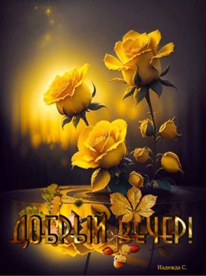 Открытка «Пожелание»: Добрый вечер! Нежные розы для хорошего настроения. Тэги: красивая, позитив, радость, цветок…