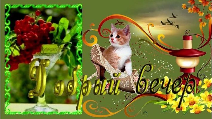 Открытка «Кот»: «Добрый вечер» с милым котиком и уютным фонарем. Тэги: животное, пожелание, красивая, позитив, радость…