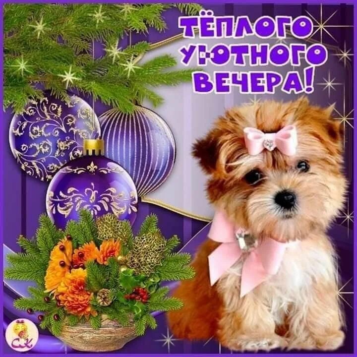 Открытка «Животное»: Тёплого уютного вечера! Милый щенок. Тэги: пожелание, красивая, позитив, радость, настроение…