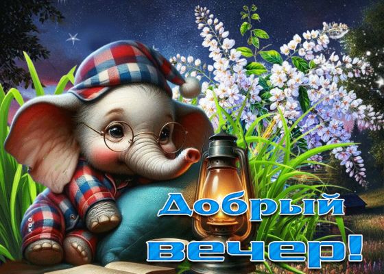Открытка «Животное»: Добрый вечер! Милый слонёнок с фонарём. Тэги: пожелание, позитив, радость, очки, цветок, фонарь…