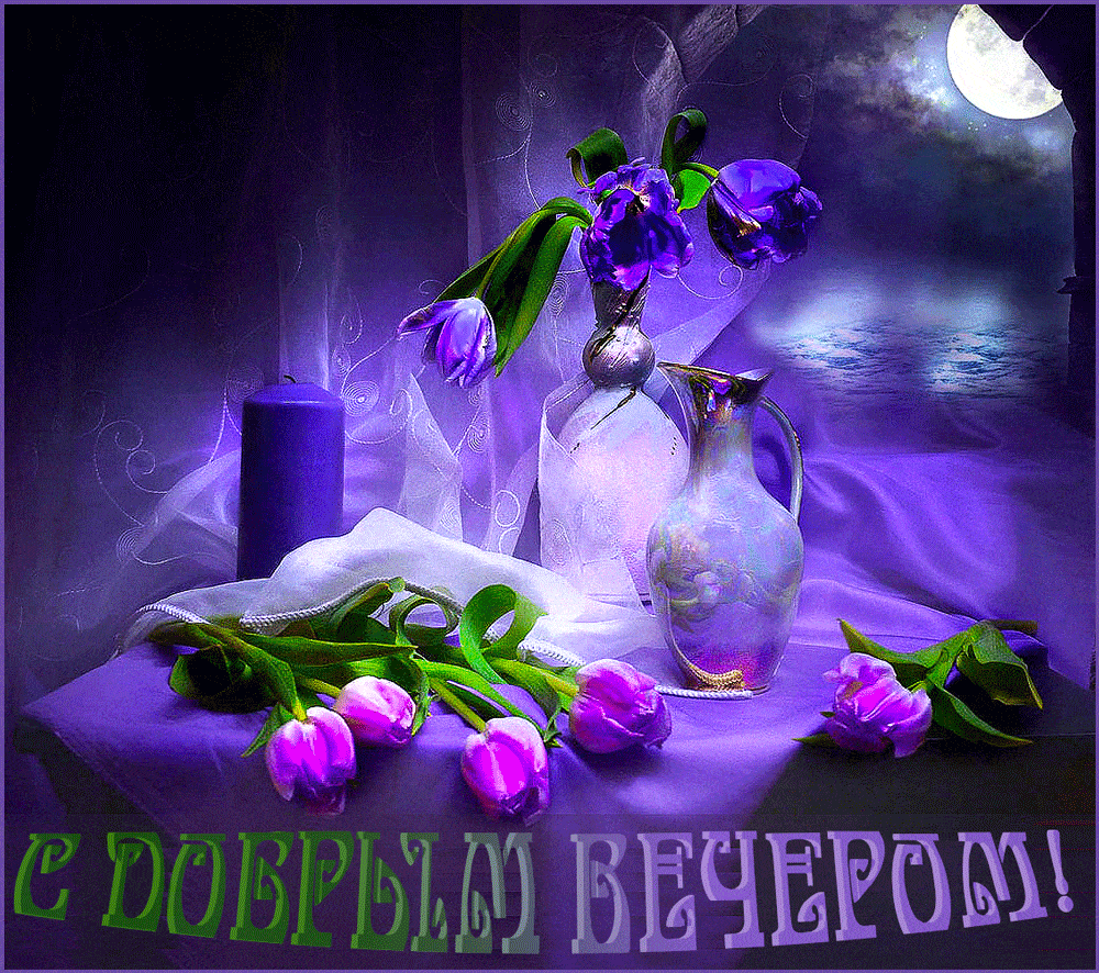 Открытка «Пожелание»: Красивая открытка С добрым вечером с тюльпанами. Тэги: красивая, позитив, цветок, настроение…